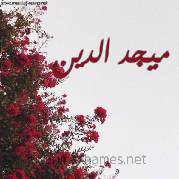 شكل 18 صوره الورد الأحمر للإسم بخط رقعة صورة اسم ميجد الدين Majd-Aldin